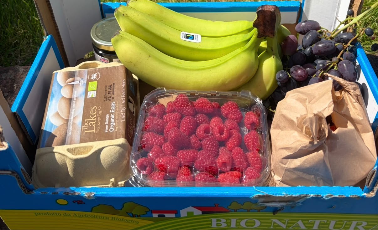 Fresh organic food